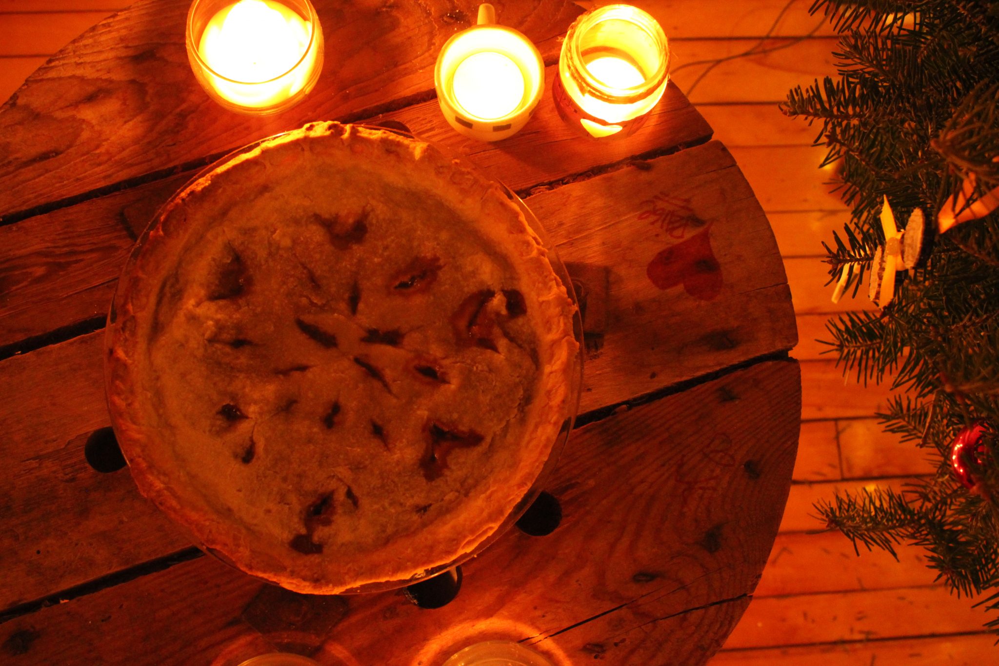 tourtière-PVT-TVP-savoury-pie-coranutrition